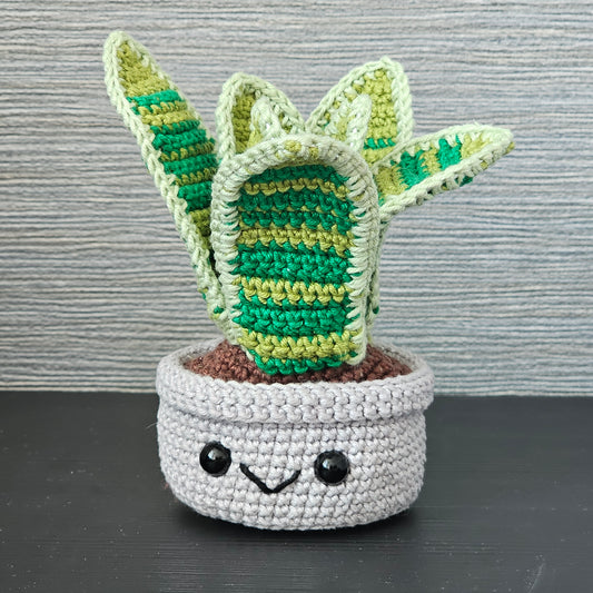 Crochet Snake Plant