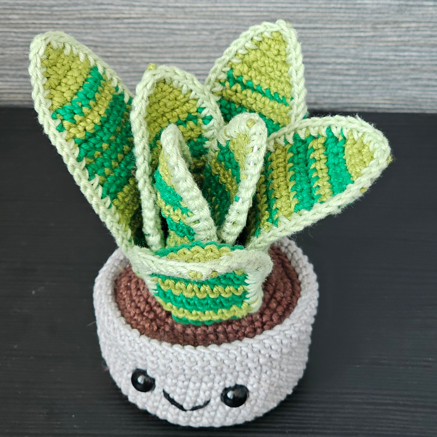 Crochet Snake Plant